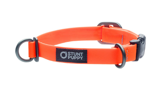 %Show% %Size:Small% %Alt:Small Orange Collar% Orange Dog Collar