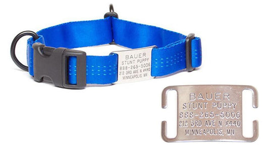 Adjustable Collar Tag