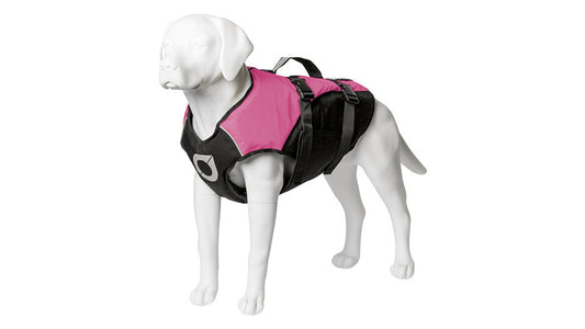 The Battle Of The Doggie Life Jackets