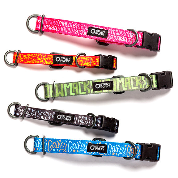 Artistic deals dog collars