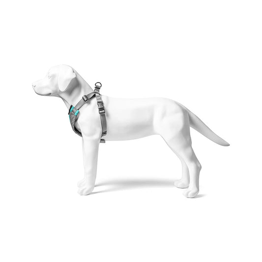 Go Dog Glo™ Harness - Main Image